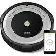 iRobot Бытовая техника и электроника по интернету