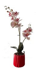 Mākslīgā orhideja Oktavia, 55cm cena un informācija | Mākslīgie ziedi | 220.lv