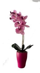 Mākslīgā orhideja Astralija, 55 cm cena un informācija | Mākslīgie ziedi | 220.lv