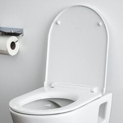 Laufen Pro Slim tualetes sēdeklis ar sēdekli, lēni nolaižams, balts cena un informācija | LAUFEN Piederumi vannas istabas iekārtām | 220.lv