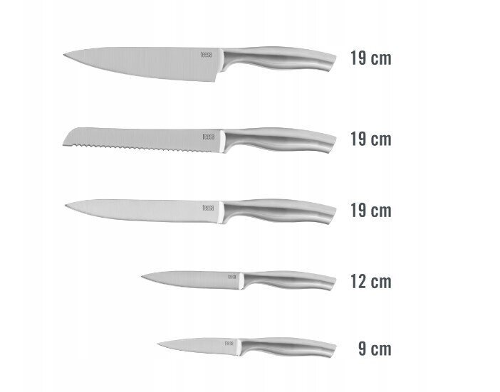 Teesa nažu komplekts, 5 gab. cena un informācija | Naži un to piederumi | 220.lv