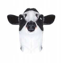 Lateksa govs galvas maska cena un informācija | Karnevāla kostīmi, maskas un parūkas | 220.lv