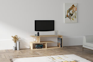 TV galdiņš Asir, 100x40x29,6 cm, bēšs цена и информация | Тумбы под телевизор | 220.lv