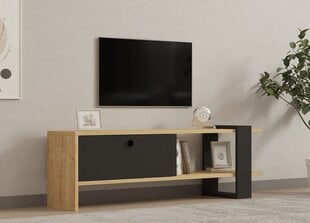 TV galdiņš Asir, 120x36,8x25 cm, pelēks/bēšs цена и информация | Тумбы под телевизор | 220.lv