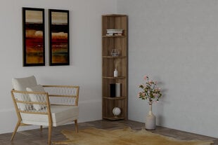 Полка Asir, 25x160x25 см, коричневый цена и информация | Полки | 220.lv