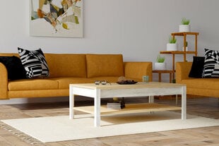 Kafijas galdiņš Asir, 100x35x60 cm, bēšs/balts cena un informācija | Žurnālgaldiņi | 220.lv