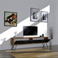 TV galdiņš Asir, 160x45x29,6 cm, brūns/melns cena un informācija | TV galdiņi | 220.lv