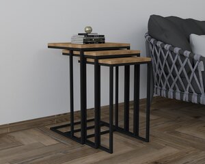 3-daļīgs galda komplekts Asir, 40x61,8x40 cm, brūns/melns cena un informācija | Žurnālgaldiņi | 220.lv