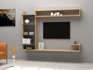 TV skapis Asir, 180x121,8x29,6 cm, bēšs/pelēks cena un informācija | TV galdiņi | 220.lv