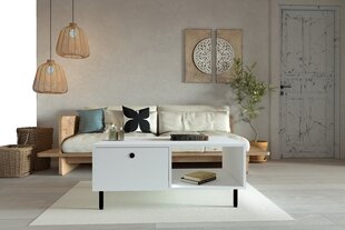 Kafijas galdiņš Asir, 100x43x60 cm, balts cena un informācija | Žurnālgaldiņi | 220.lv