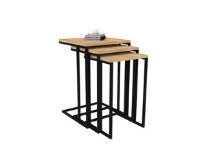 3-daļīgs galda komplekts Asir, 40x61,8x40 cm, bēšs/melns cena un informācija | Žurnālgaldiņi | 220.lv