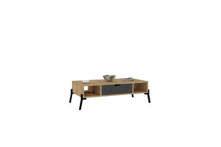 Kafijas galdiņš Asir, 100x28,2x50 cm, bēšs/pelēks cena un informācija | Žurnālgaldiņi | 220.lv