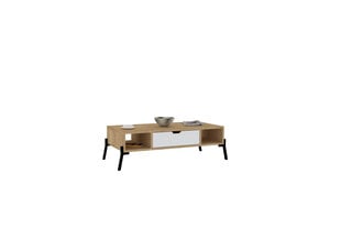 Kafijas galdiņš Asir, 100x28,2x50 cm, bēšs/balts cena un informācija | Žurnālgaldiņi | 220.lv