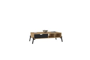 Kafijas galdiņš Asir, 100x28,2x50 cm, gaiši brūns/pelēks cena un informācija | Žurnālgaldiņi | 220.lv