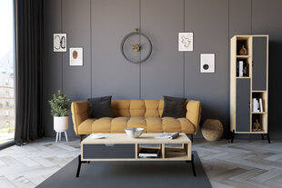 Kafijas galdiņš Asir, 100x28,2x50 cm, gaiši brūns/pelēks cena un informācija | Žurnālgaldiņi | 220.lv