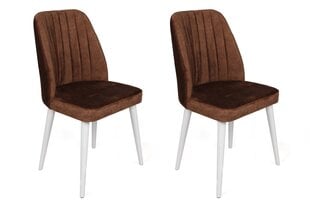 Набор из 2 стульев Asir, коричневый/белый цена и информация | Стулья для кухни и столовой | 220.lv