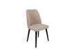 2 Krēslu komplekts Asir, 50x90x49 cm, rozā/melns cena un informācija | Virtuves un ēdamistabas krēsli | 220.lv