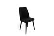 2 Krēslu komplekts Asir, 50x90x49 cm, melns цена и информация | Virtuves un ēdamistabas krēsli | 220.lv