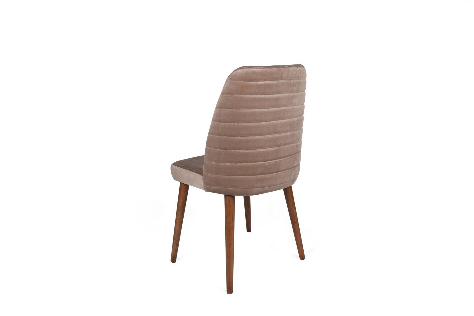 2 Krēslu komplekts Asir, 50x90x49 cm, bēšs/brūns цена и информация | Virtuves un ēdamistabas krēsli | 220.lv
