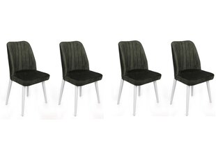 4-daļīgs krēslu komplekts Asir, zaļš/balts цена и информация | Стулья для кухни и столовой | 220.lv
