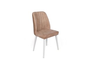 4 krēslu komplekts Asir, gaiši brūns/balts cena un informācija | Virtuves un ēdamistabas krēsli | 220.lv