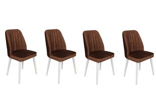 Комплект из 4 стульев Asir, коричневый/белый цена и информация | Стулья для кухни и столовой | 220.lv