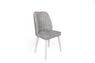 4-daļīgs krēslu komplekts Asir, gaiši pelēks/balts cena un informācija | Virtuves un ēdamistabas krēsli | 220.lv