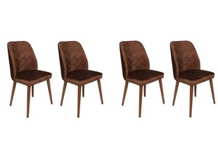 Комплект из 4 стульев Asir, 50х90х49 см, коричневый цена и информация | Стулья для кухни и столовой | 220.lv