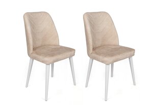 4 krēslu komplekts Asir, 50x90x49 cm, bēšs/balts cena un informācija | Virtuves un ēdamistabas krēsli | 220.lv