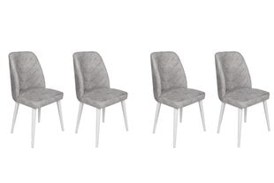 4 krēslu komplekts Asir, 50x90x49 cm, pelēks/balts cena un informācija | Virtuves un ēdamistabas krēsli | 220.lv