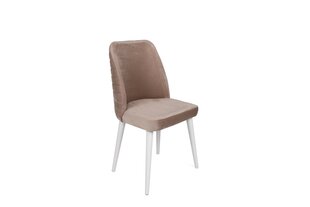 4 krēslu komplekts Asir, 50x90x49 cm, bēšs/balts цена и информация | Стулья для кухни и столовой | 220.lv