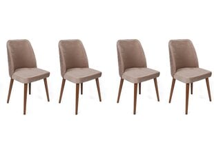 4 krēslu komplekts Asir, 50x90x49 cm, bēšs/brūns cena un informācija | Virtuves un ēdamistabas krēsli | 220.lv