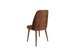 Комплект из 4 стульев Asir, коричневый цена и информация | Стулья для кухни и столовой | 220.lv