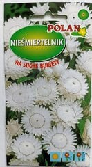 Seglapu salmenesPolan цена и информация | Семена цветов | 220.lv
