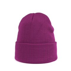 Cepure Art of Polo, violeta cz20305-27 cena un informācija | Sieviešu cepures | 220.lv