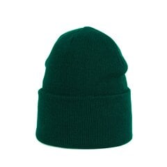 Cepure Art of Polo, zaļa cz20305-29 cena un informācija | Vīriešu cepures, šalles, cimdi | 220.lv