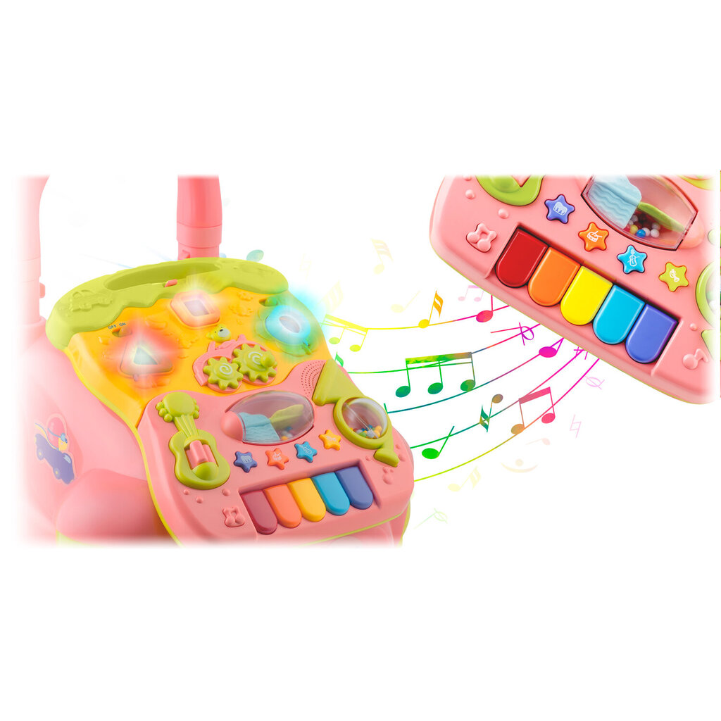 Izglītojošs stūmējs ar mūziku 2in1, rozā krāsā cena un informācija | Attīstošās rotaļlietas | 220.lv
