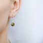 Sudraba auskari ar dabīgiem akmeņiem sievietēm I.L.U.S, Green Chinese Jade cena un informācija | Auskari | 220.lv