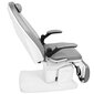 Elektriskais podiatrijas krēsls Azzurro 709A ar 3 motoriem pelēks cena un informācija | Mēbeles skaistumkopšanas saloniem | 220.lv
