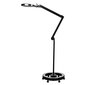 5d melna palielināmā lampa ar statīvu Elegante 6025 cena un informācija | Mēbeles skaistumkopšanas saloniem | 220.lv