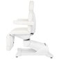4 motoru elektriskais kosmētikas krēsls, balts "Azzurro 869A цена и информация | Mēbeles skaistumkopšanas saloniem | 220.lv
