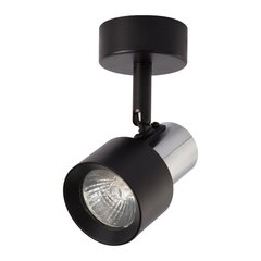 светодиодная лампа, 230 в/50 гц цена и информация | Потолочный светильник | 220.lv