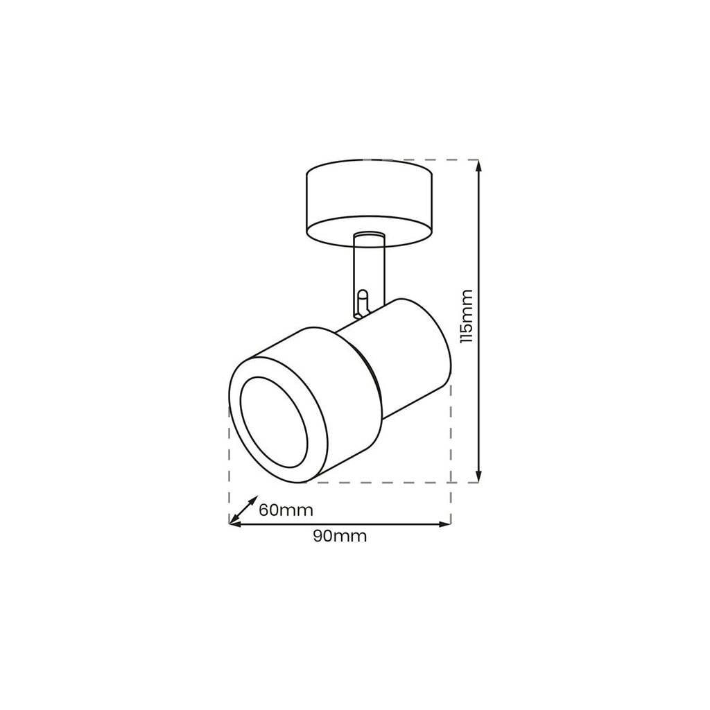 Led lampa, 230v/50hz цена и информация | Griestu lampas | 220.lv