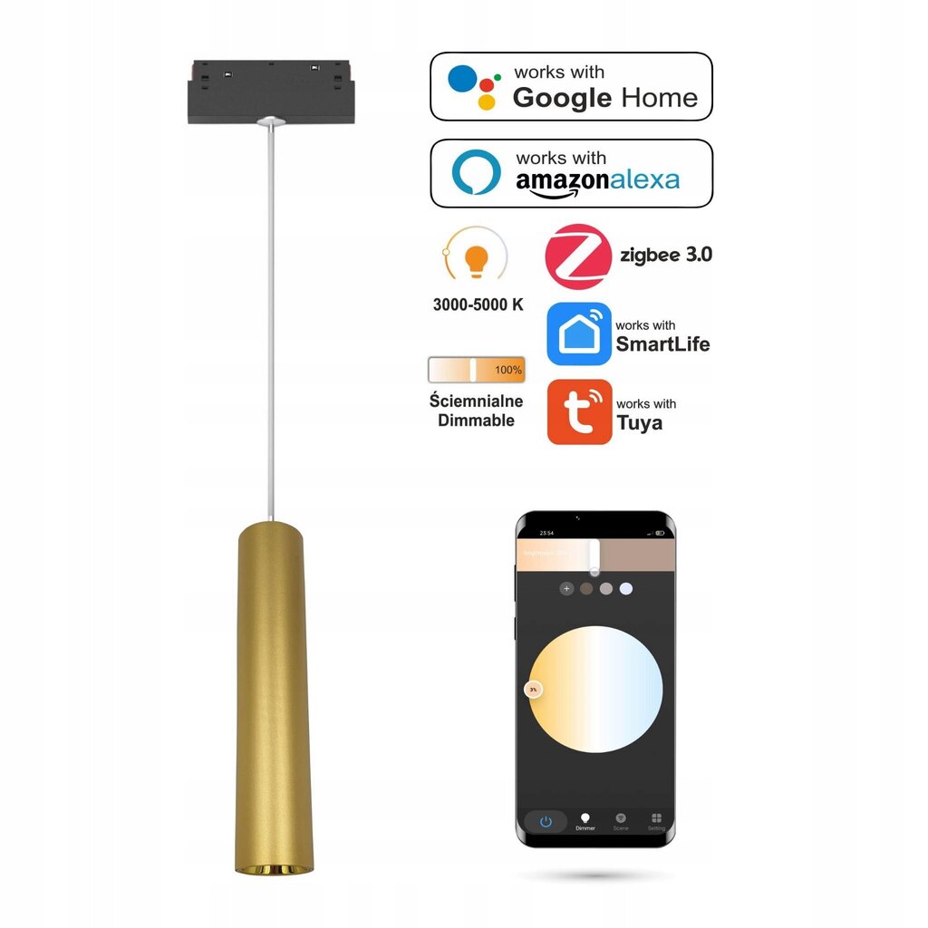 LED piekaramā lampa WiFi Zigbee Tuba Gold 10W 48VDC цена и информация | Lustras | 220.lv