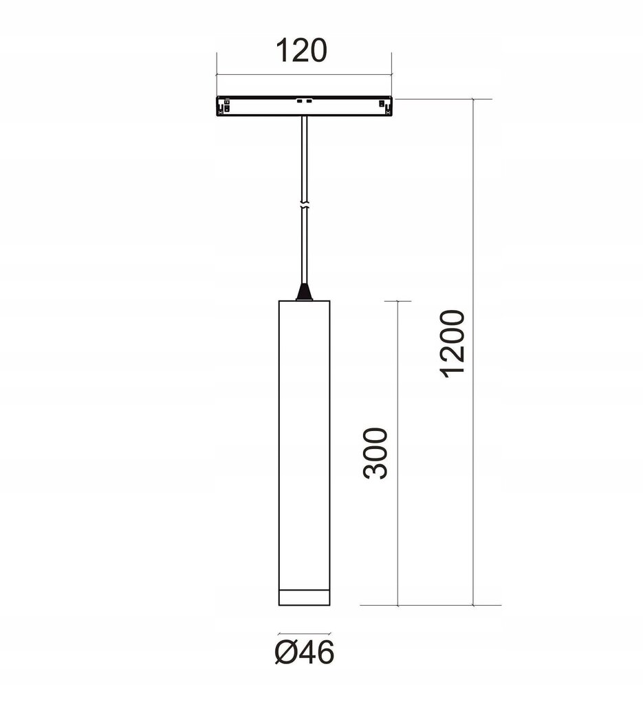 LED piekaramā lampa WiFi Zigbee Tuba Gold 10W 48VDC цена и информация | Lustras | 220.lv