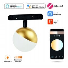 Подвесная лампа Sphere цена и информация | Потолочные светильники | 220.lv