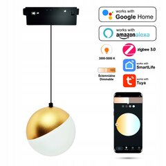 LED piekaramā gaisma Tuya Zigbee Sphere 10W priekš SMART TRACK 48VDC Magnētiskā sliede cena un informācija | Piekaramās lampas | 220.lv