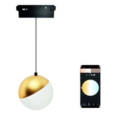 LED piekaramā gaisma Tuya Zigbee Sphere 10W priekš SMART TRACK 48VDC Magnētiskā sliede цена и информация | Люстры | 220.lv