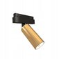 Prožektors LED WiFi Zigbee Hydra 12W Gold cena un informācija | Griestu lampas | 220.lv