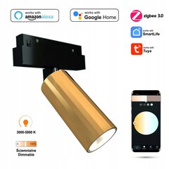 Prožektors LED WiFi Zigbee Hydra 12W Gold цена и информация | Потолочные светильники | 220.lv